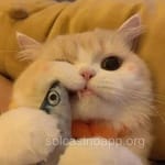 Avatar de Daniela Torres