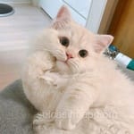 Avatar de Mateo Calleja